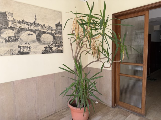 Coverciano, Firenze, Firenze, 2 Stanze da Letto Stanze da Letto, 3 Stanze Stanze,1 BagnoBathrooms,Appartamento,Vendita,1619