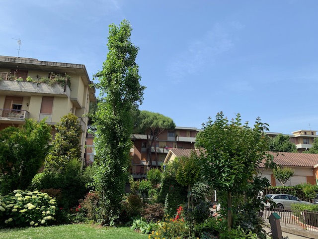 Via del Filarete, Firenze, 3 Stanze da Letto Stanze da Letto, 7 Stanze Stanze,2 BathroomsBathrooms,Appartamento,Vendita,Via del Filarete,1620