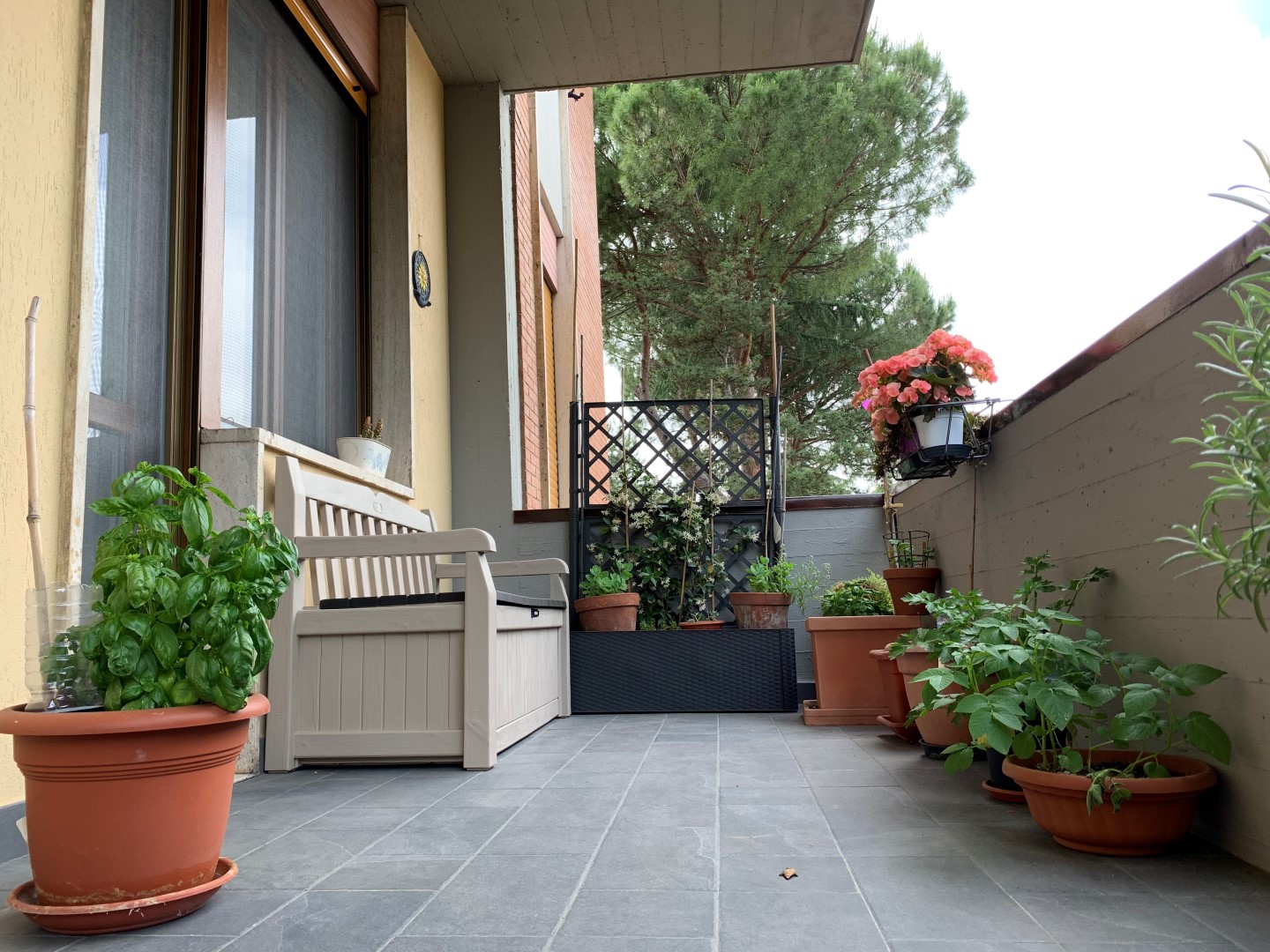 Via del Filarete, Firenze, 3 Stanze da Letto Stanze da Letto, 7 Stanze Stanze,2 BathroomsBathrooms,Appartamento,Vendita,Via del Filarete,1620