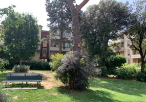 Via del Filarete, Firenze, 3 Stanze da Letto Stanze da Letto, 7 Stanze Stanze,2 BathroomsBathrooms,Appartamento,Vendita,Via del Filarete,1620