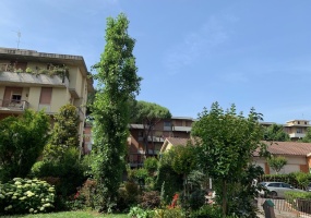 Via del Filarete, Firenze, 3 Stanze da Letto Stanze da Letto, 7 Stanze Stanze,2 BathroomsBathrooms,Appartamento,Vendita,Via del Filarete,1620